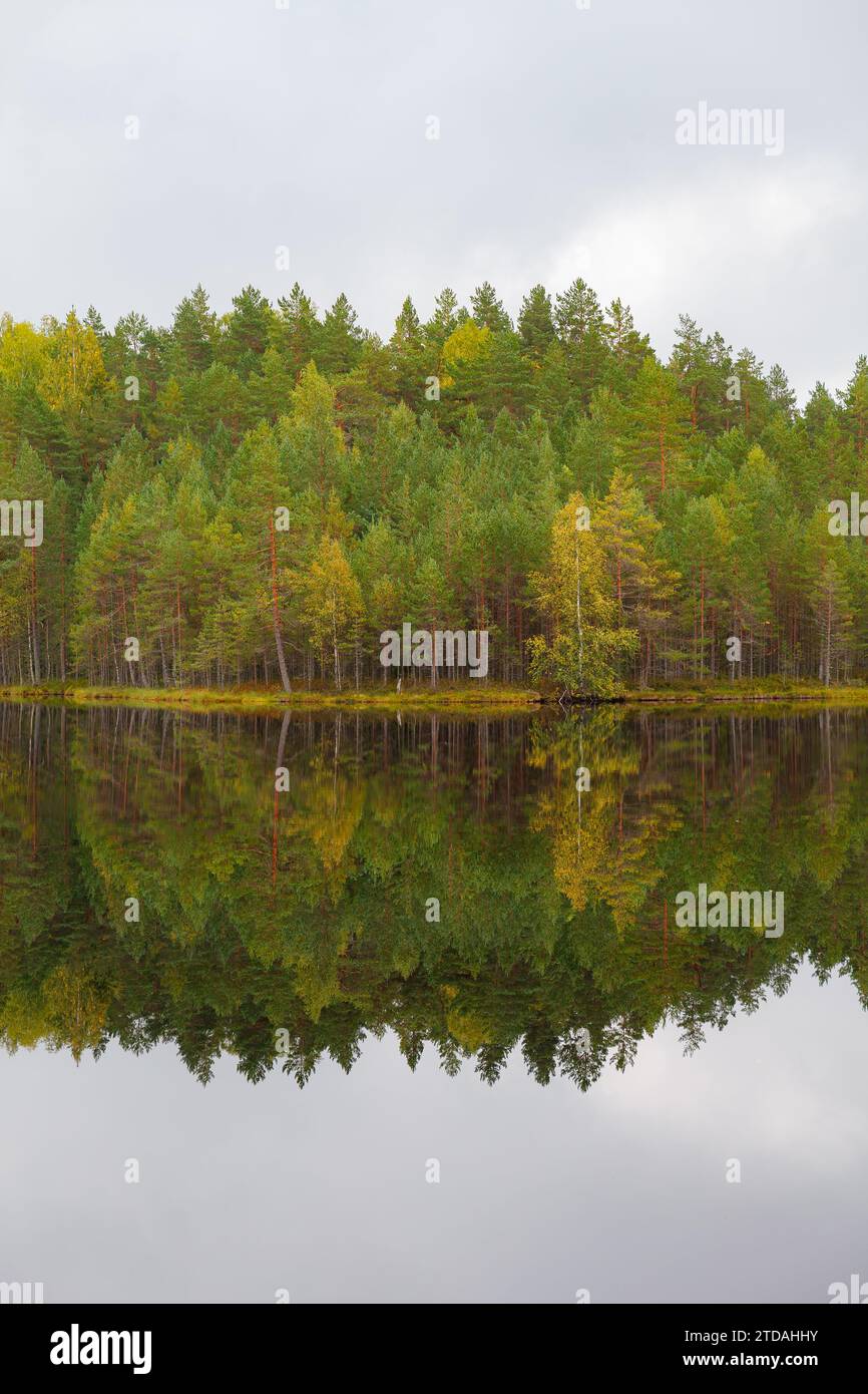 Riflessi della foresta di conifere su un lago selvaggio, giornata tranquilla e nuvolosa Foto Stock