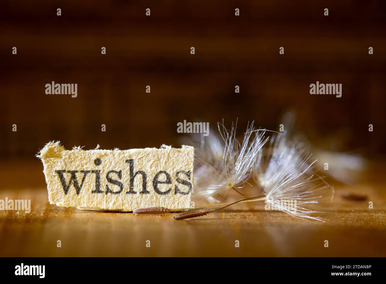 Auguri Dandelion Seeds Foto Stock