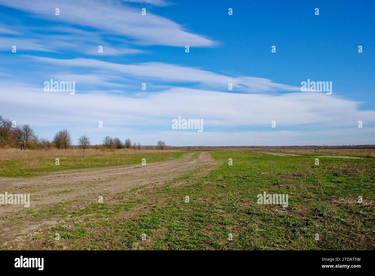Una strada sterrata che si estende in lontananza sotto un cielo blu. Foto Stock