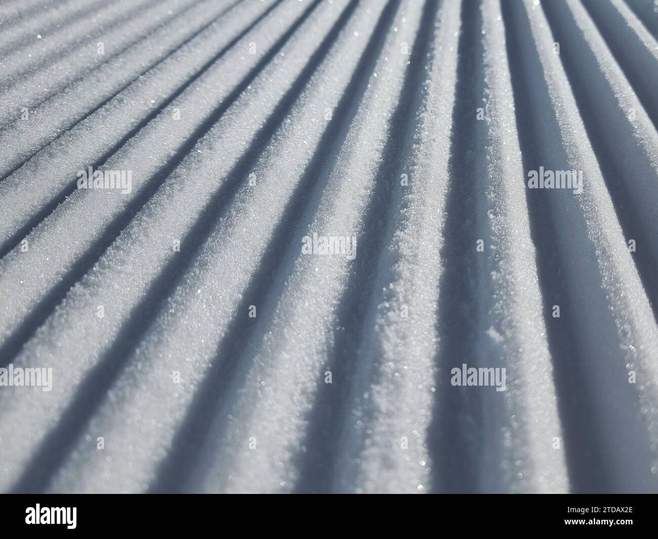 Tempo invernale. Nuova pista o pista da sci curata. Linee sulla neve. Concetto sci invernale. Foto Stock