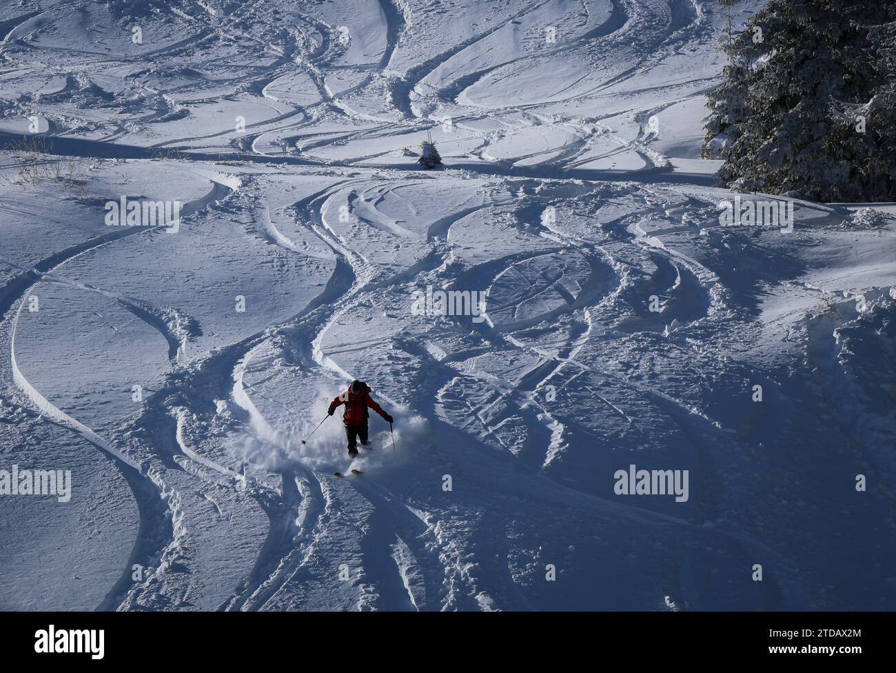 Tempo invernale in Bulgaria. Uno sciatore sta scendendo su una pista da sci con neve nuova. Foto Stock