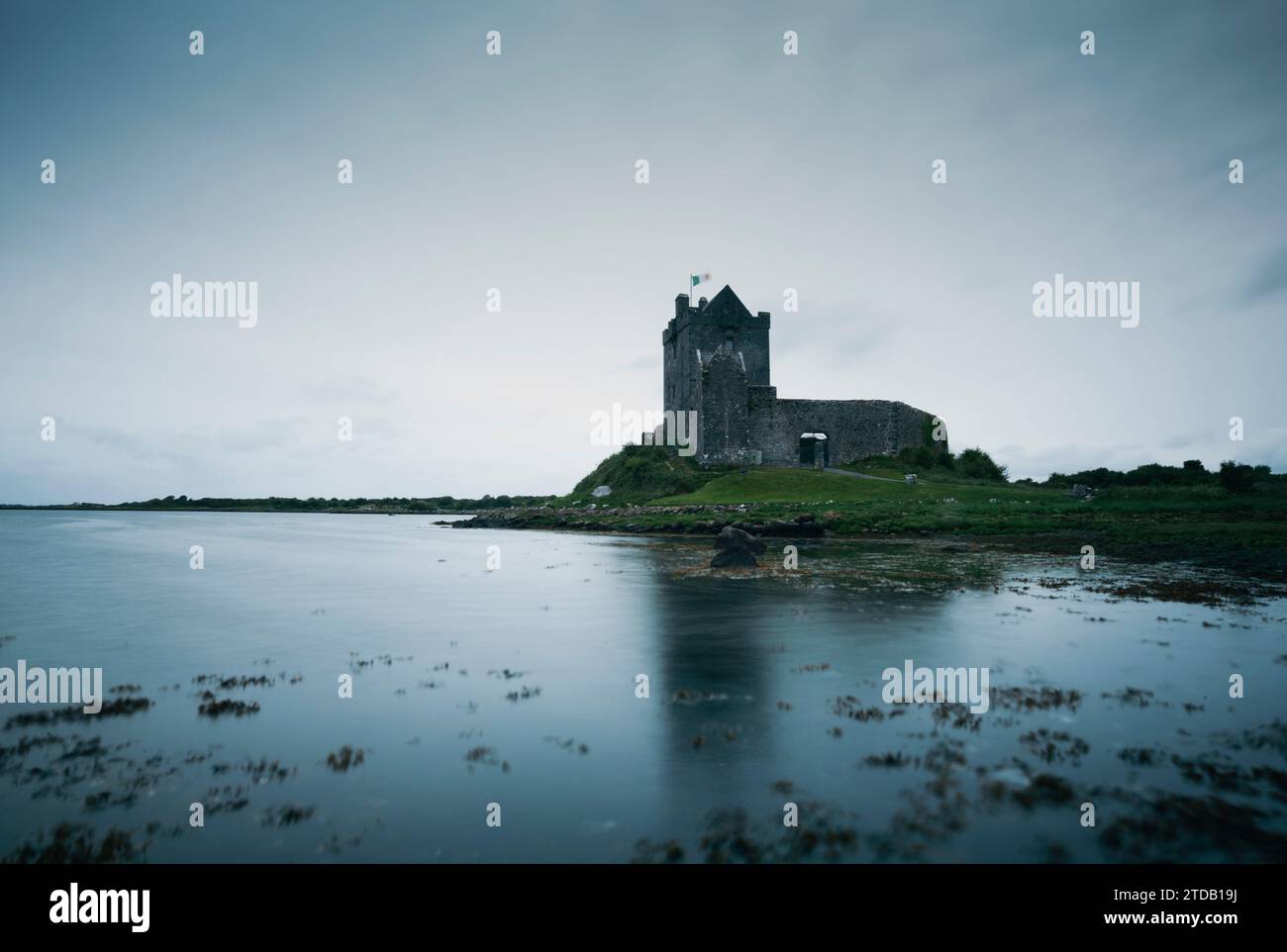 Dunguaire Castle. Galway. Irlanda. Foto Stock