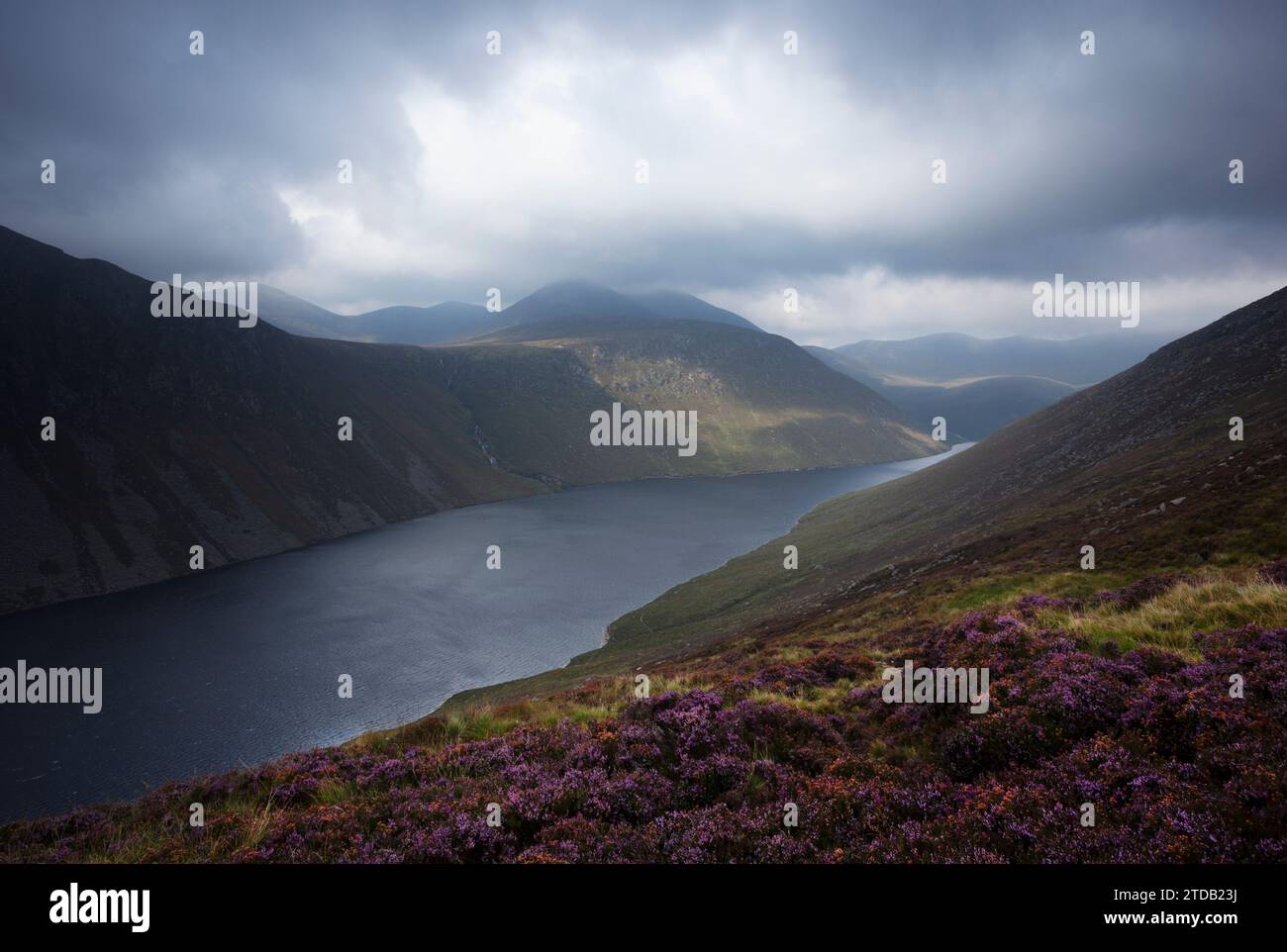 Lago artificiale Ben Crom, sulle Mourne Mountains. Contea di Down, Irlanda del Nord, Regno Unito. Foto Stock