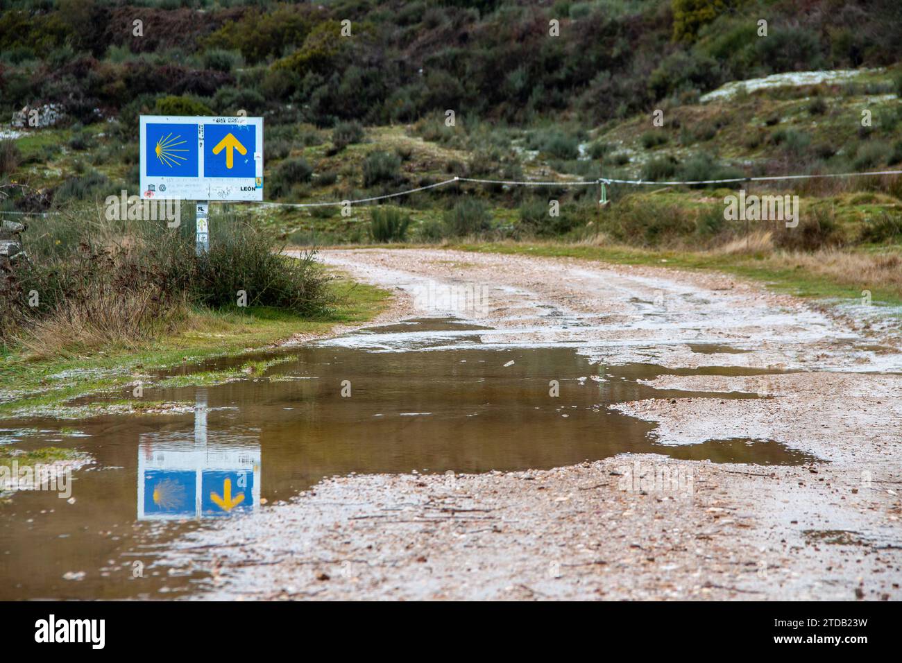 Frecce gialle che indicano la strada da seguire nelle diverse fasi del cammino di Santiago Foto Stock