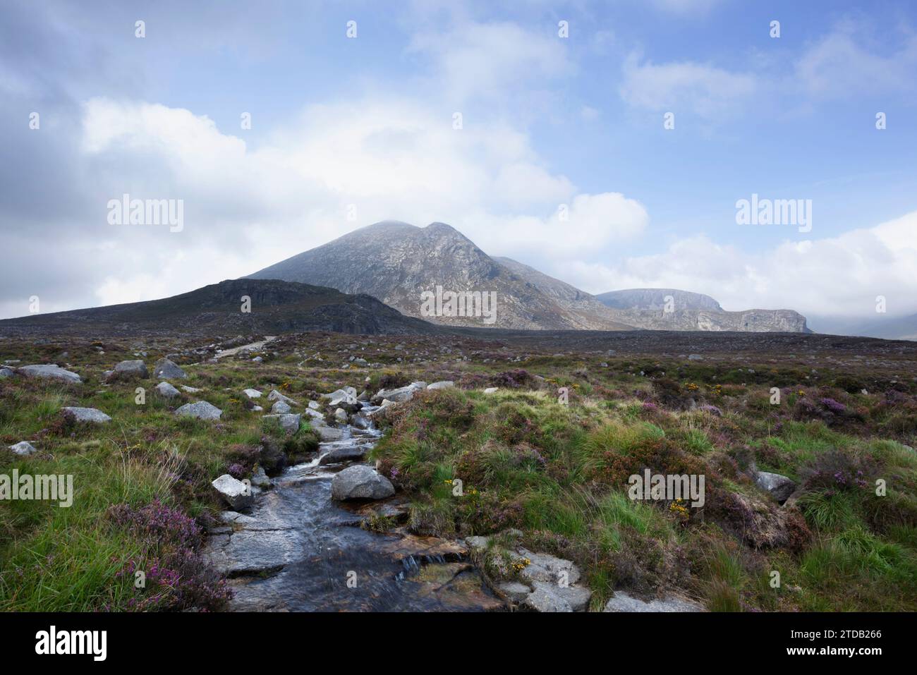 Monte Slievelamagan nelle Mourne Mountains. Contea di Down, Irlanda del Nord, Regno Unito. Foto Stock