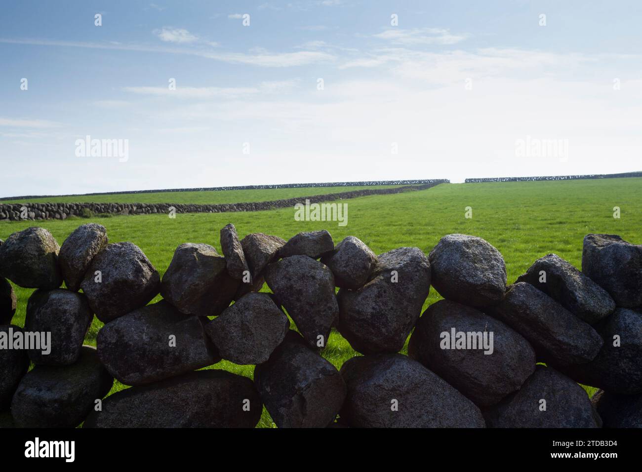 Pareti in pietra di granito nelle Mourne Mountains. Contea di Down, Irlanda del Nord, Regno Unito. Foto Stock