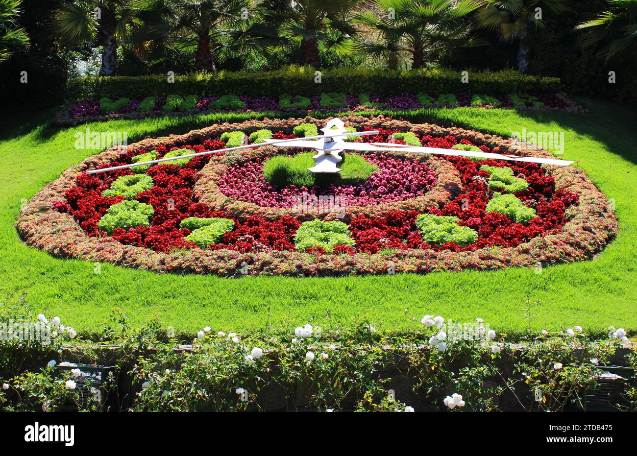 Orologio di fiori a Viña del Mar Foto Stock