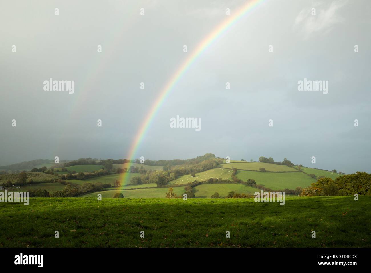 Arcobaleno sulla campagna. Galles, Regno Unito. Foto Stock
