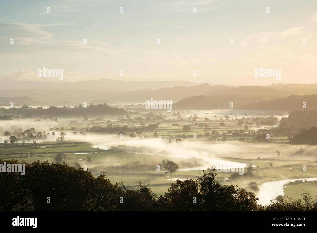 River Towy Valley. Carmarthenshire, Galles, Regno Unito. Foto Stock