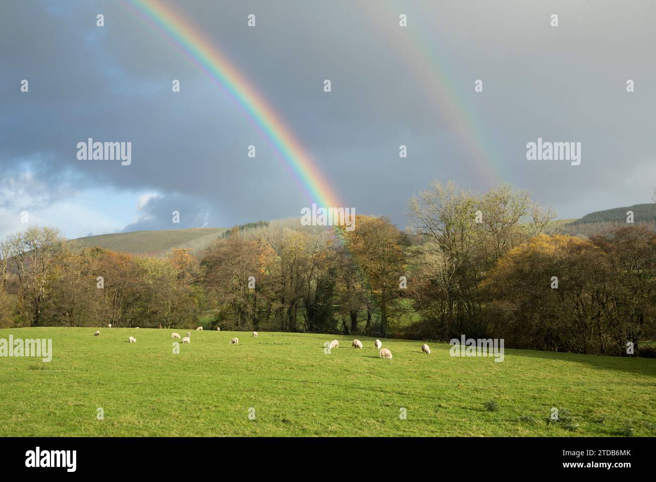 Arcobaleno sulla campagna. Cwrt-y-cadno, Galles, Regno Unito. Foto Stock