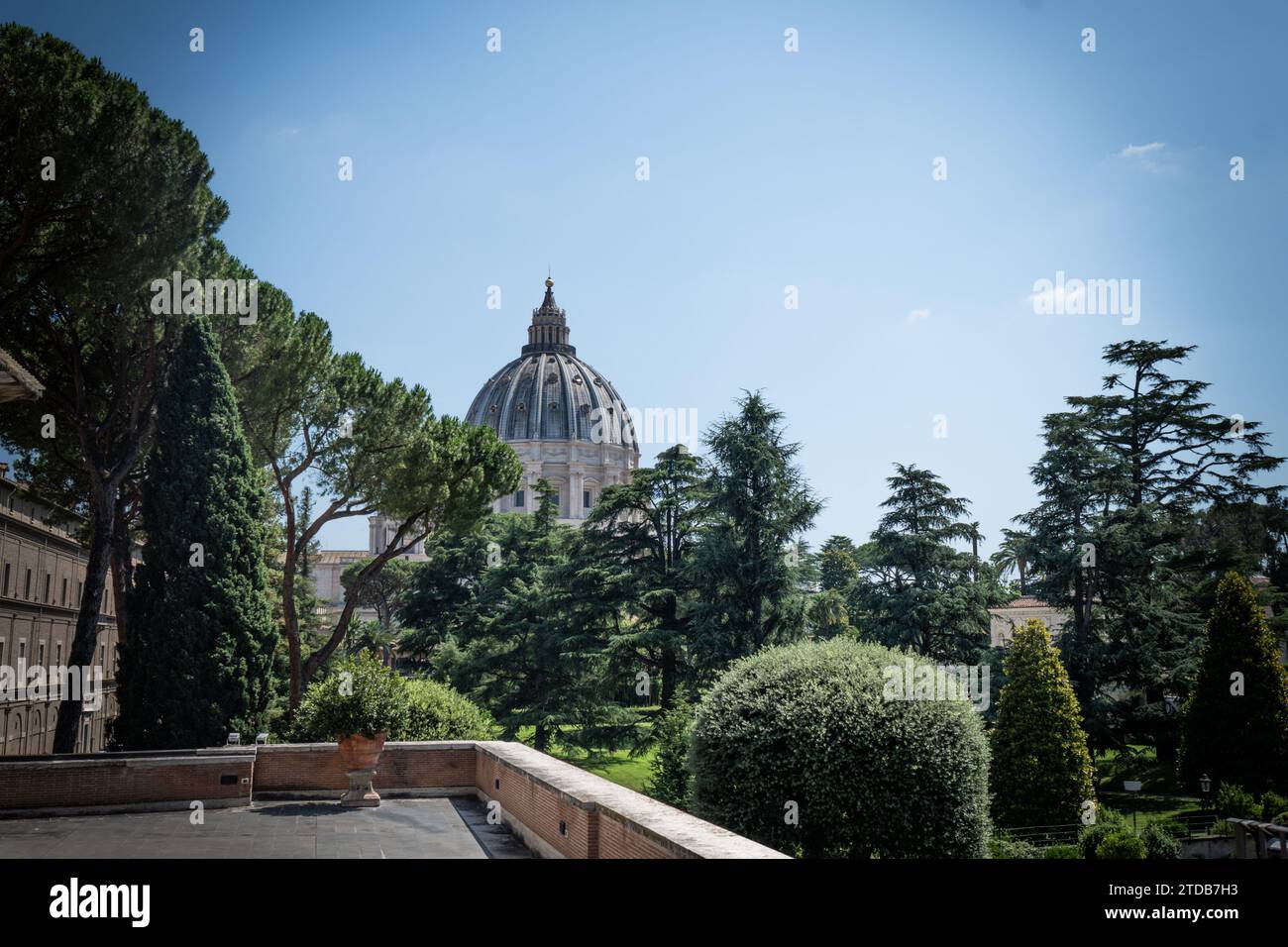 Vista della cupola della basilica di San Pietro vista in lontananza tra gli alberi a Roma, Italia. Foto Stock