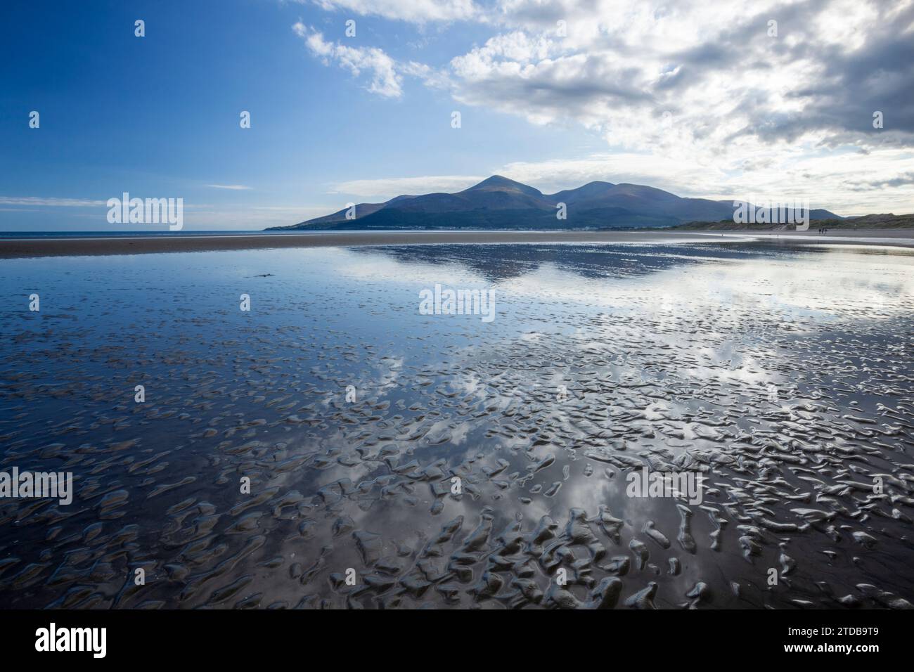 Le Mourne Mountains da Murlough Beach. Contea di Down, Irlanda del Nord, Regno Unito. Foto Stock