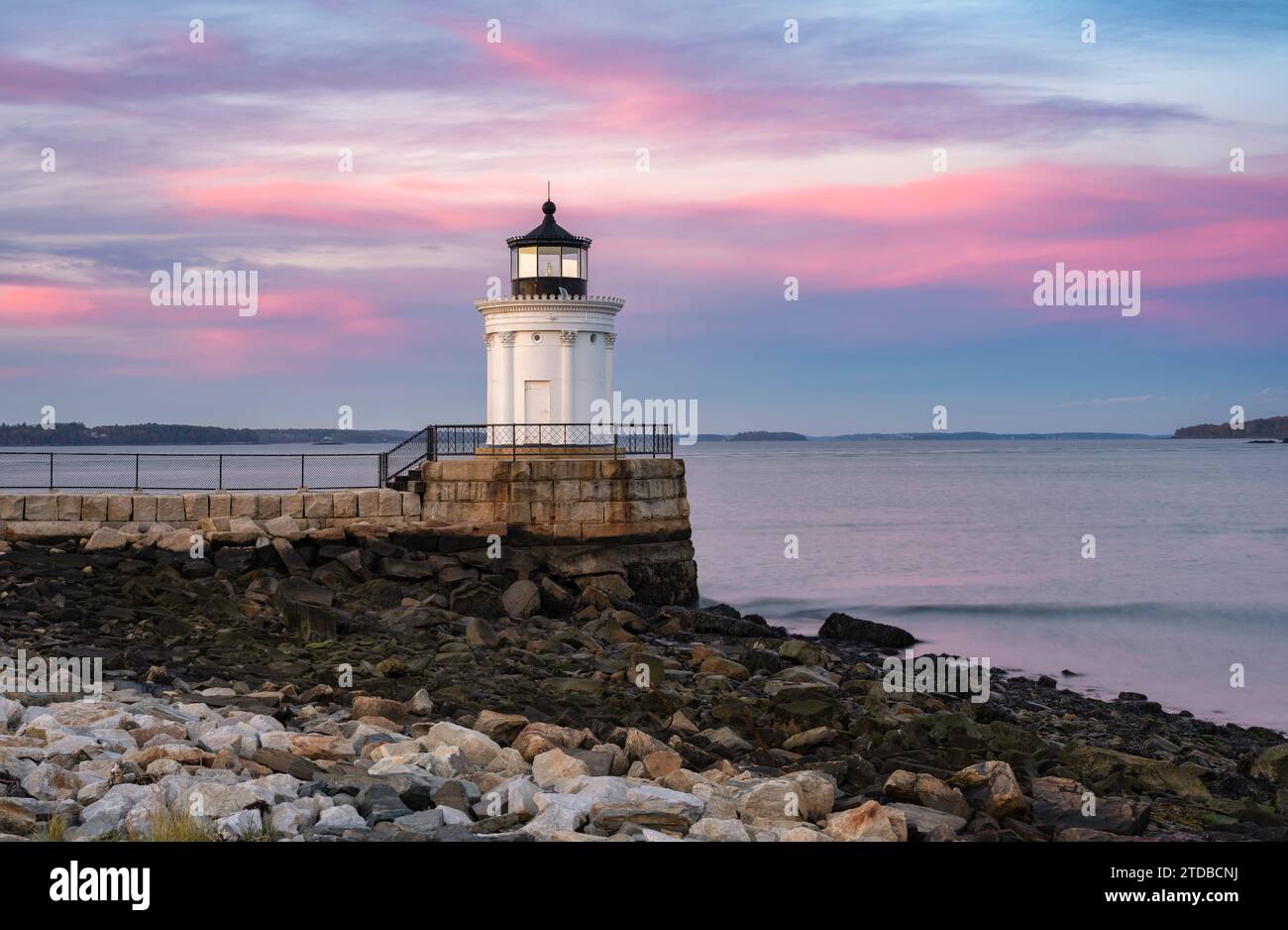 Bug Light in rosa Foto Stock