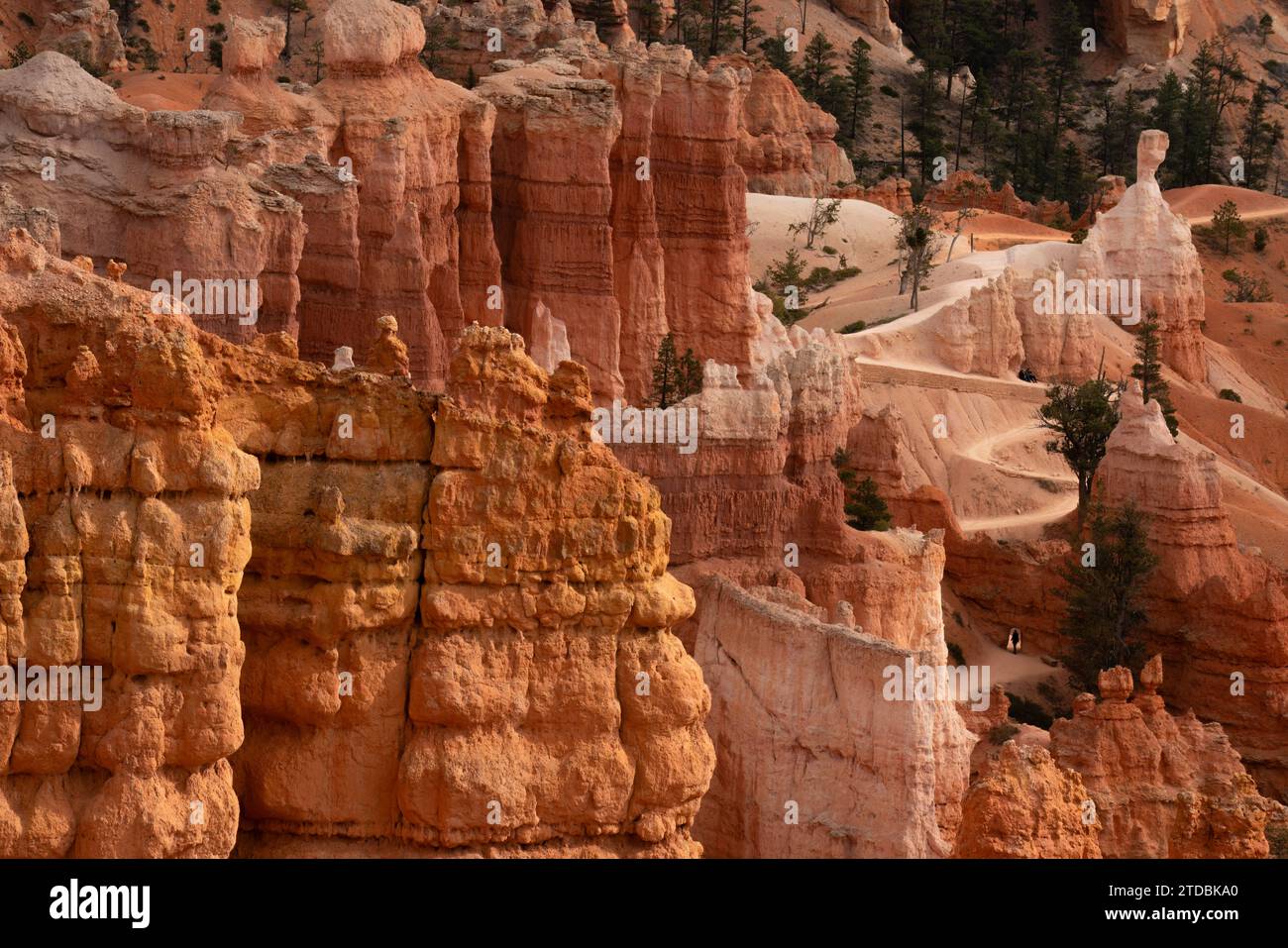 Bryce Canyon National Park. Foto Stock