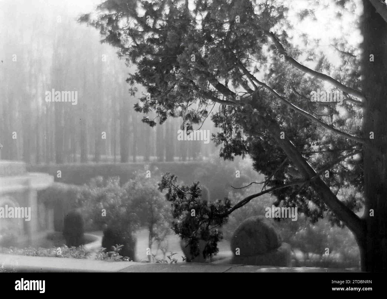 Madrid, ottobre 1927. Paesaggio del Parco del Retiro in autunno. Crediti: Album / Archivo ABC / López Beaube Foto Stock