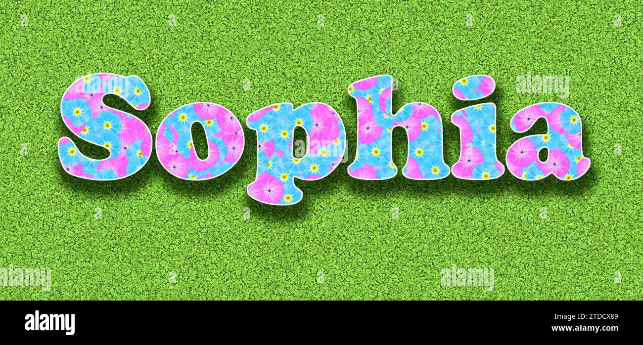Nominate Sophia, una delle dieci ragazze più popolari in Germania nel 2023, con fiori rosa e azzurro come grafica Foto Stock