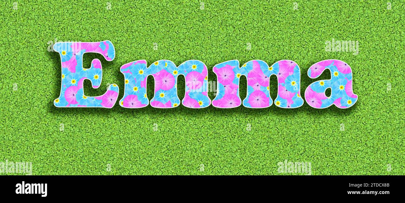 Nominate Emma, una delle dieci ragazze più popolari in Germania nel 2023, con fiori rosa e azzurro come grafica Foto Stock