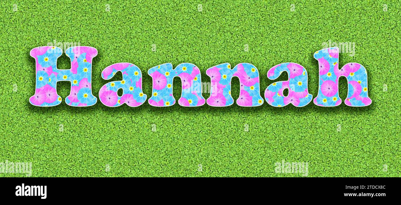 Nominate Hannah, una delle dieci ragazze più popolari in Germania nel 2023, con fiori rosa e azzurri come grafica Foto Stock