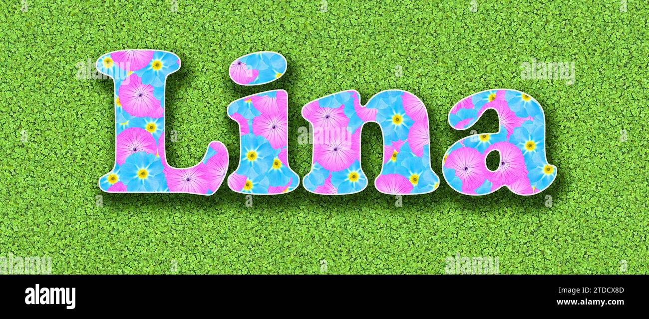 Nominate Lina, una delle dieci ragazze più popolari in Germania nel 2023, con fiori rosa e azzurro come grafica Foto Stock