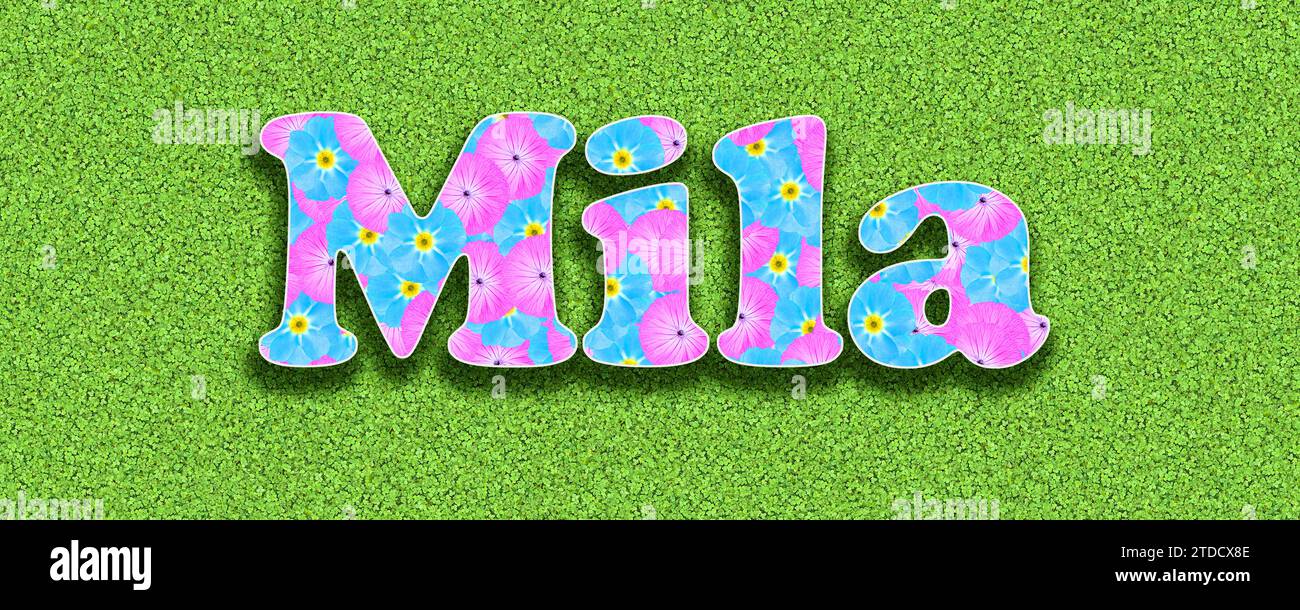 Nominate Mila, uno dei dieci nomi più popolari delle ragazze in Germania nel 2023, con fiori rosa e azzurro come grafica Foto Stock