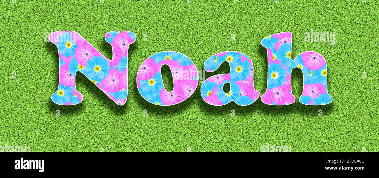 Nome Noah, il nome più popolare per i ragazzi in Germania 2023 con fiori rosa e azzurro come grafica Foto Stock