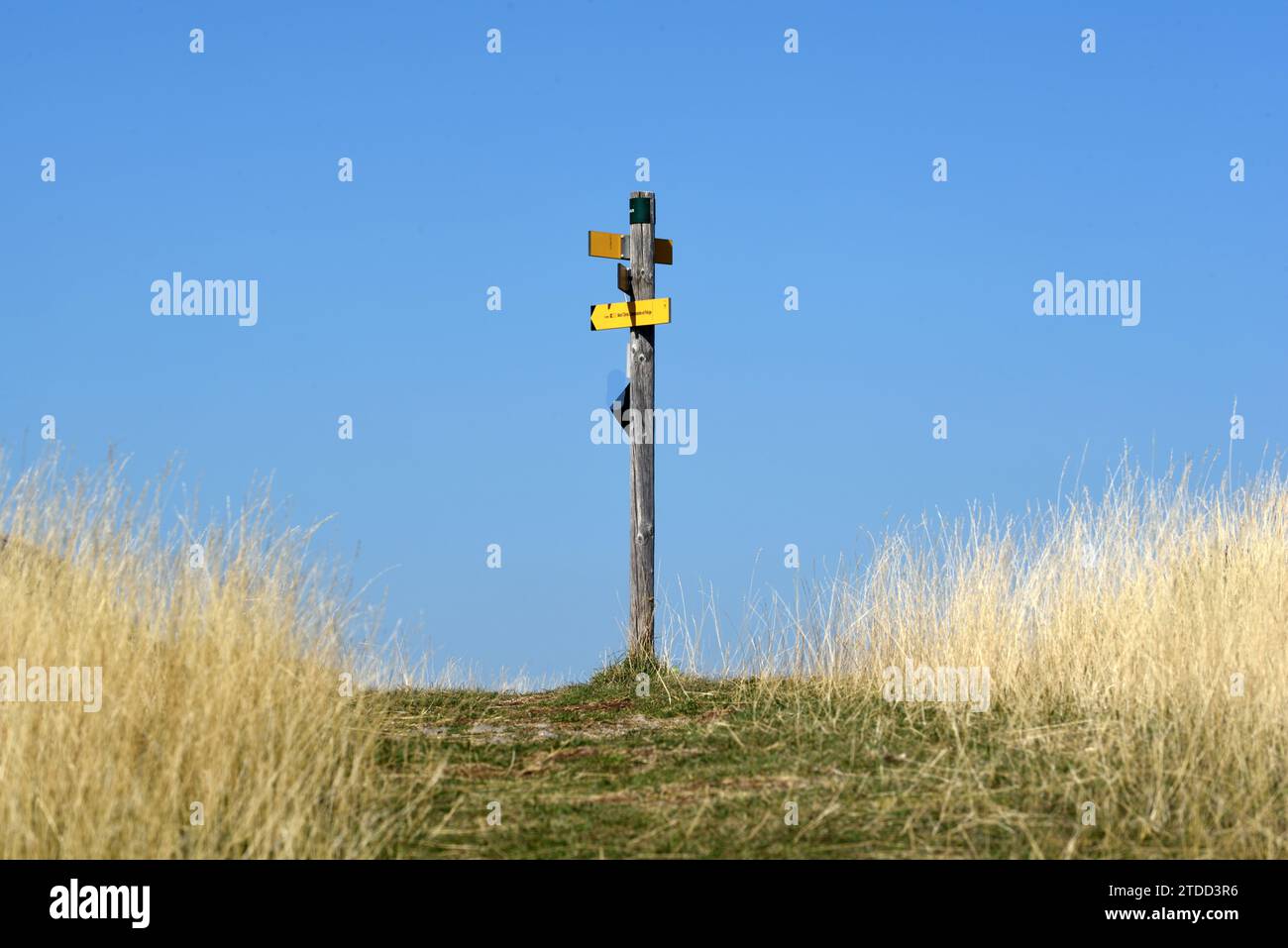 Indicazioni stradali che indicano le direzioni o la direzione da seguire Foto Stock