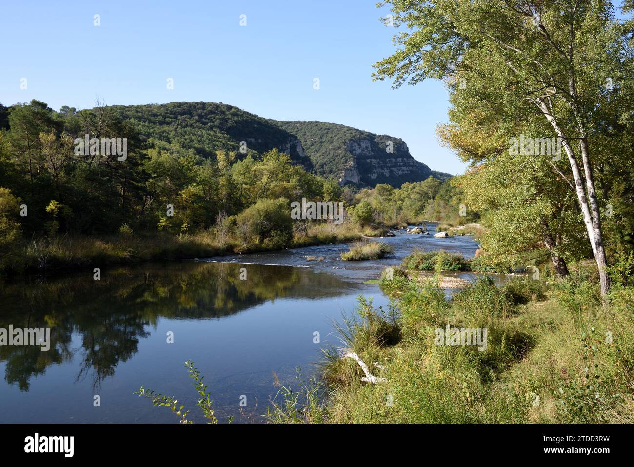 Pittoresca vista del fiume Verdon, del fiume e delle rive del fiume vicino a Greoux-les-Bains Alpes-de-Haute-Provence Provence Francia Foto Stock