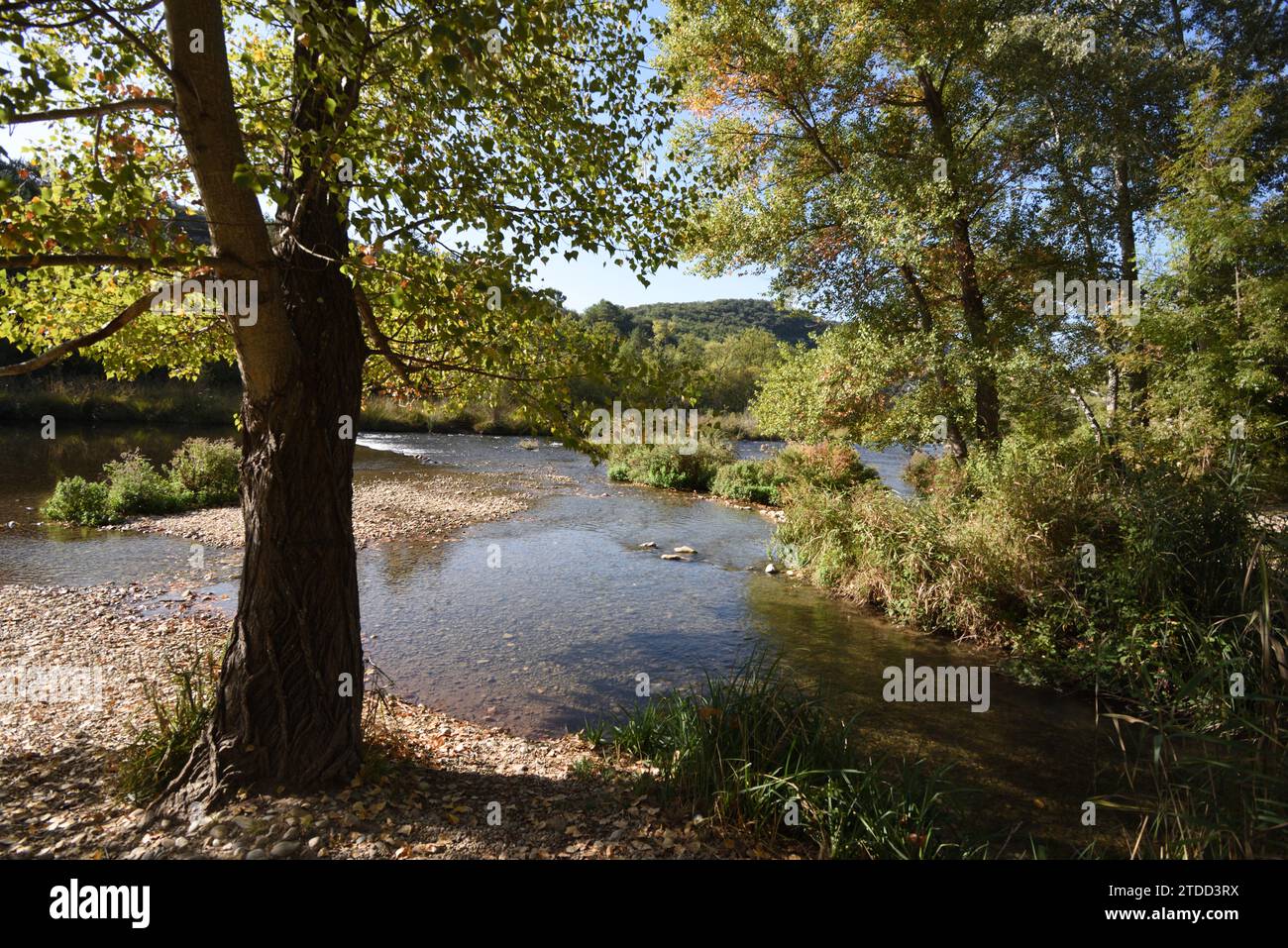 Pittoresca vista del fiume Verdon, del fiume e delle rive del fiume vicino a Greoux-les-Bains Alpes-de-Haute-Provence Provence Francia Foto Stock