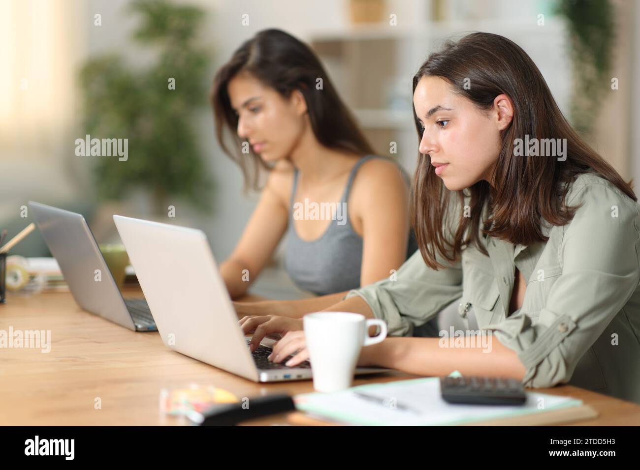 Due tele worker seri che lavorano online a casa Foto Stock
