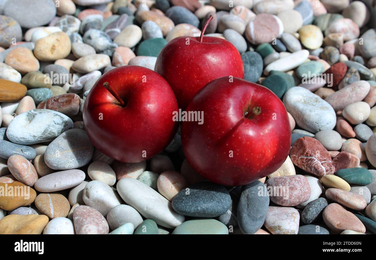 Tre mele rosse fresche su sassi di ciottoli sotto la luce del sole fanno da sfondo alla foto Foto Stock