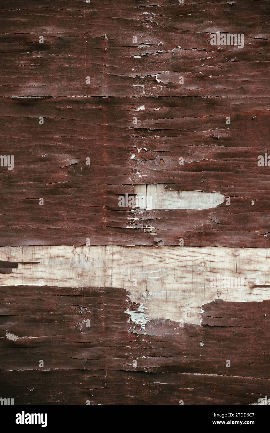 Legno marrone decaduto Foto Stock