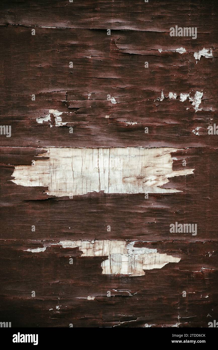 Legno marrone decaduto Foto Stock