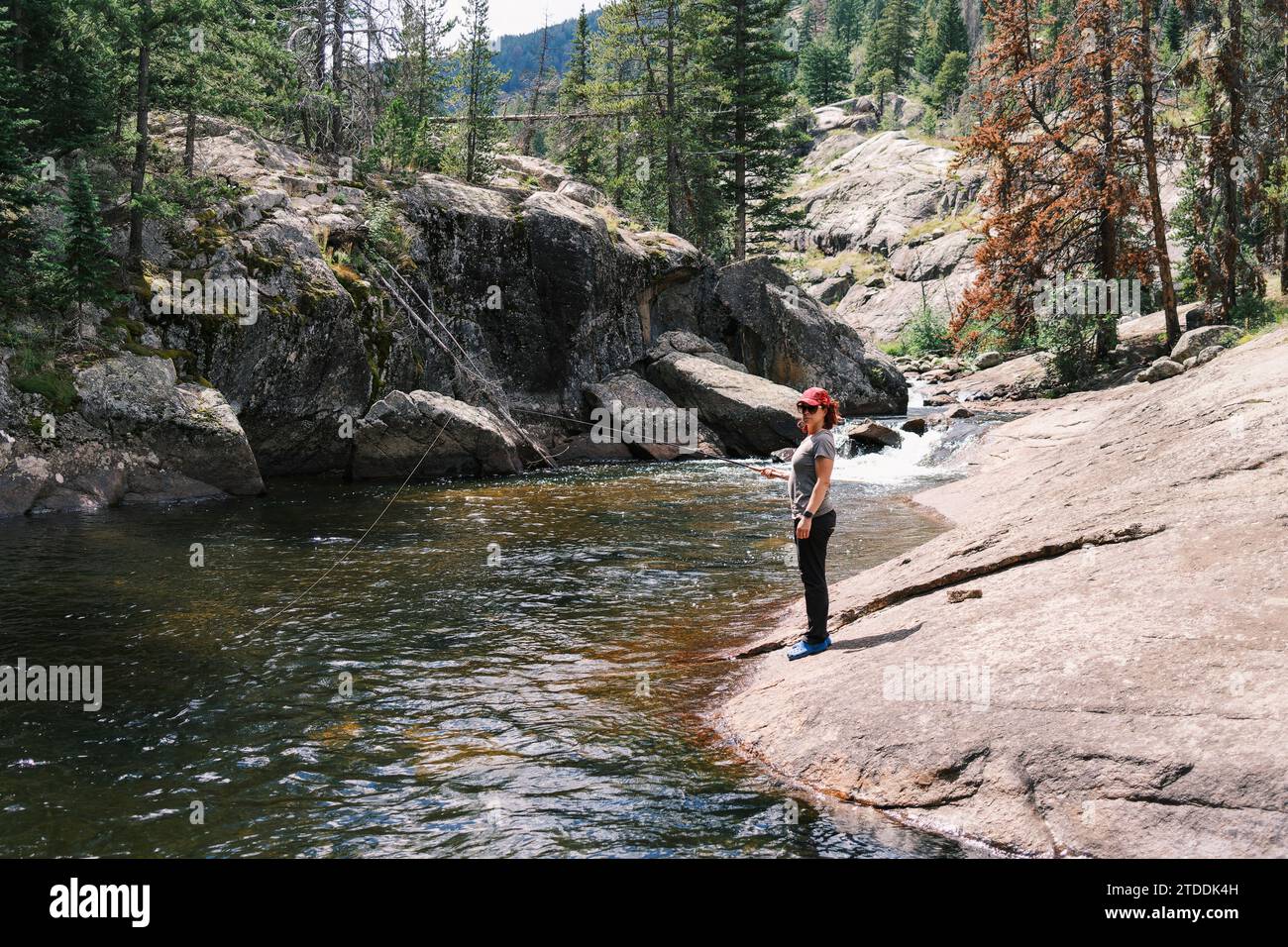 Donne che pescano in un torrente nella Holy Cross Wilderness, Colorado Foto Stock