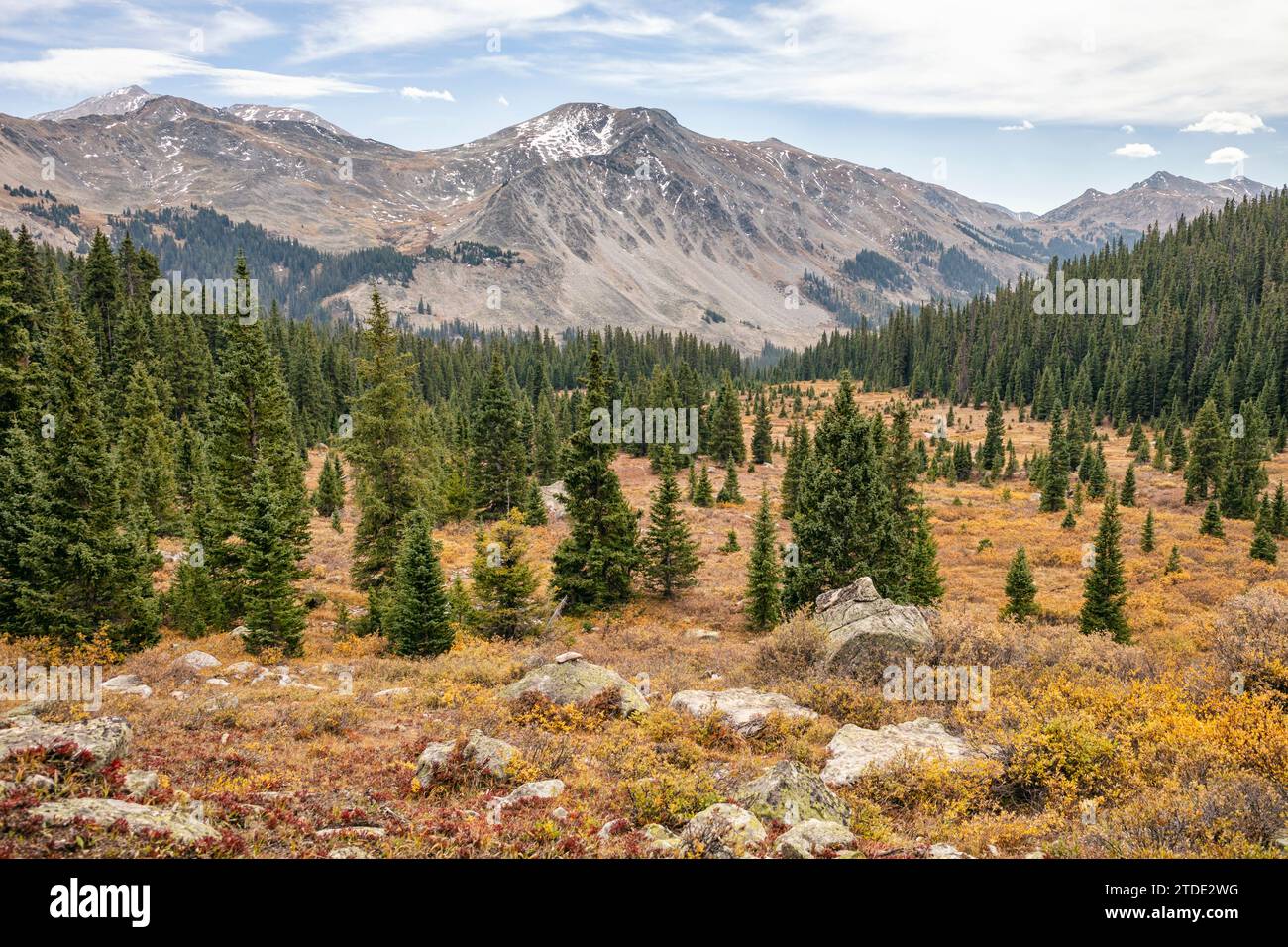 Paesaggio panoramico nella Collegiate Peaks Wilderness, Colorado Foto Stock