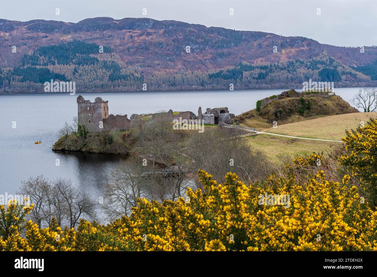 Castello Urquhart, Loch Ness, Scotland, Regno Unito Foto Stock