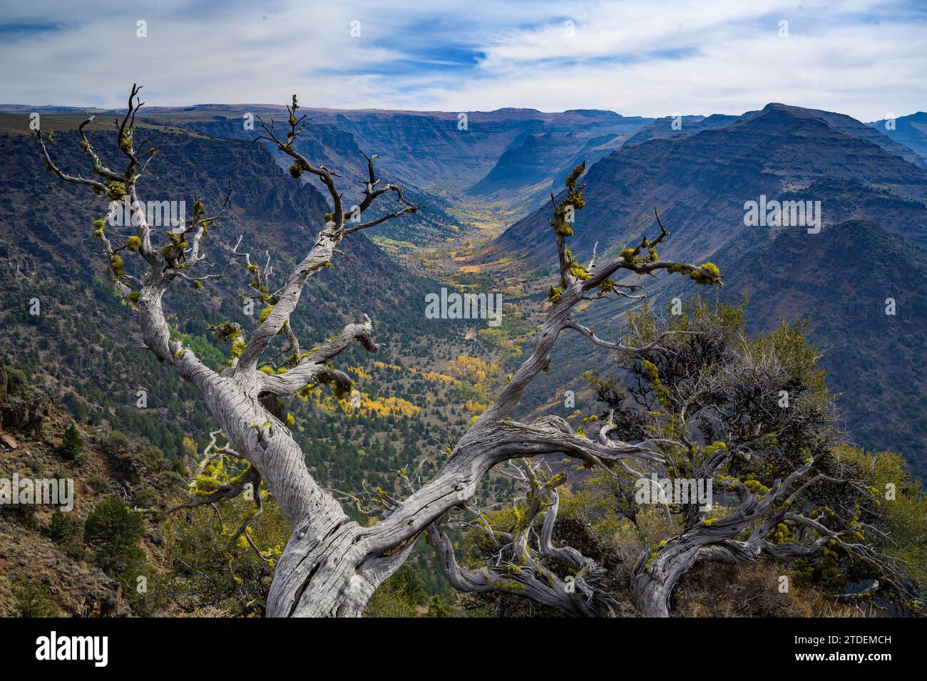 Big Indian Gorge nella Steens Mountain cooperative Management and Protection Area nell'Oregon orientale. Foto Stock