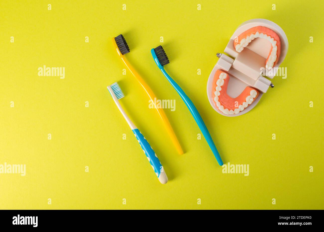 Tre spazzolini da denti, per adulti e bambini, su sfondo giallo con un modello di mascella dentale. Concetto di odontoiatria familiare, pulizia e igiene orale. Foto Stock