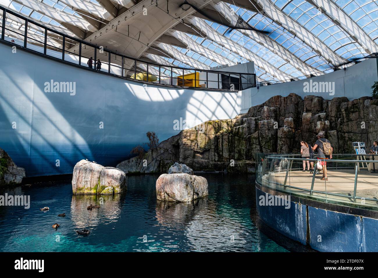 Montreal Biodome, Montreal, Quebec, Canada, Nord America Foto Stock