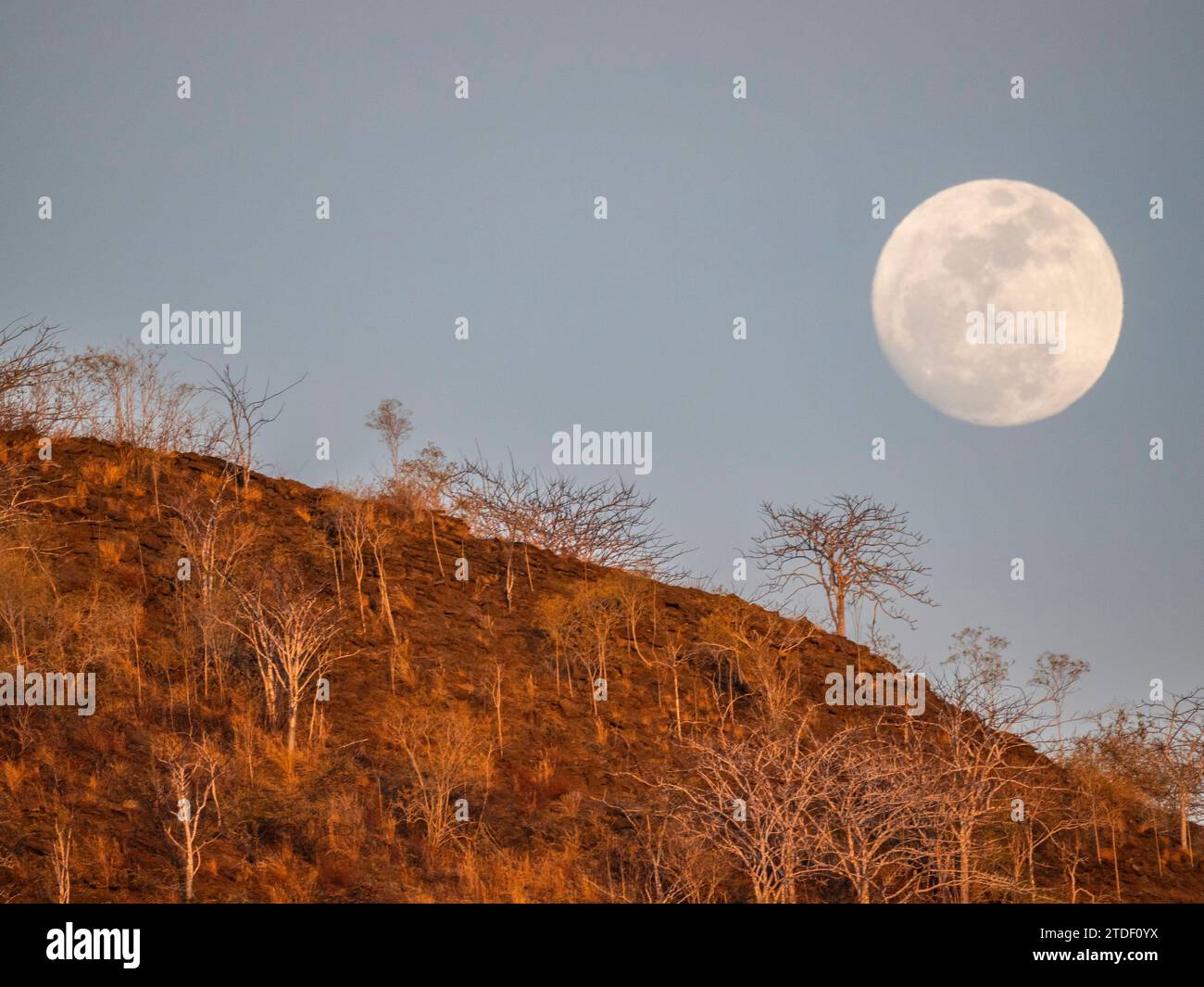 La luna piena azzurra si innalza ad est nella Baia di Urbina, nelle Isole Galapagos, sito patrimonio dell'umanità dell'UNESCO, Ecuador, Sud America Foto Stock