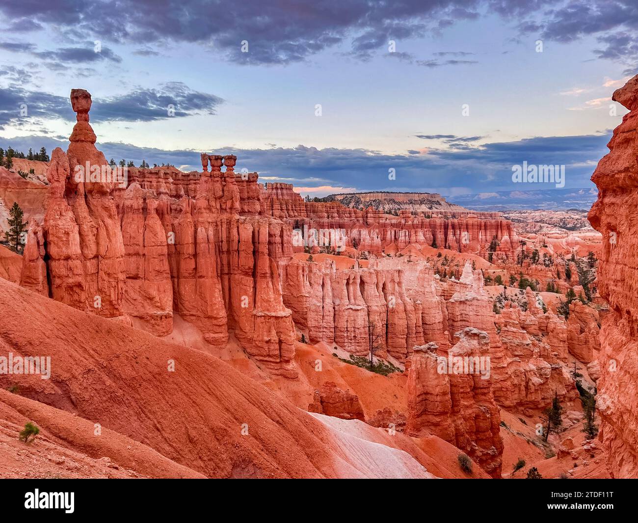 Hoodoos di roccia rossa nel Bryce Canyon National Park, Utah, Stati Uniti d'America, Nord America Foto Stock