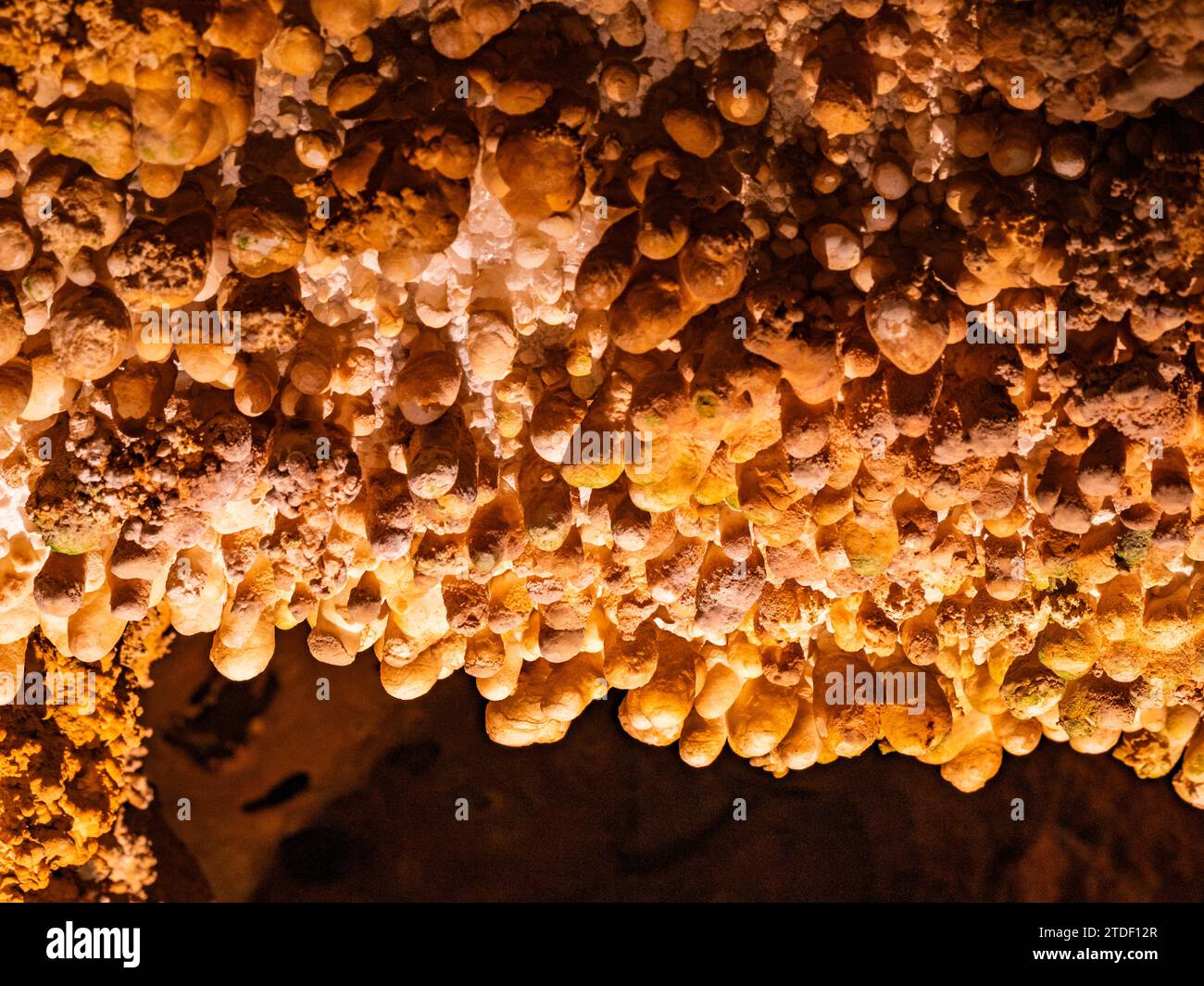 Popcorn nella grotta principale del Carlsbad Caverns National Park, sito patrimonio dell'umanità dell'UNESCO, situato nelle montagne Guadalupe, New Mexico Foto Stock