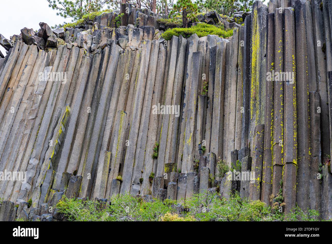 Formazione rocciosa di basalto colonnare, Devils Postpile National Monument, Mammoth Mountain, California, Stati Uniti d'America, Nord America Foto Stock