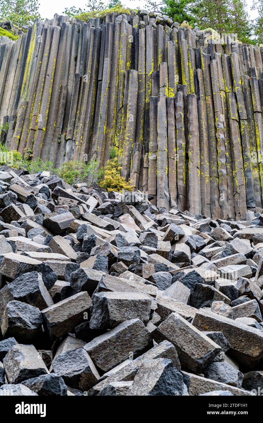 Formazione rocciosa di basalto colonnare, Devils Postpile National Monument, Mammoth Mountain, California, Stati Uniti d'America, Nord America Foto Stock