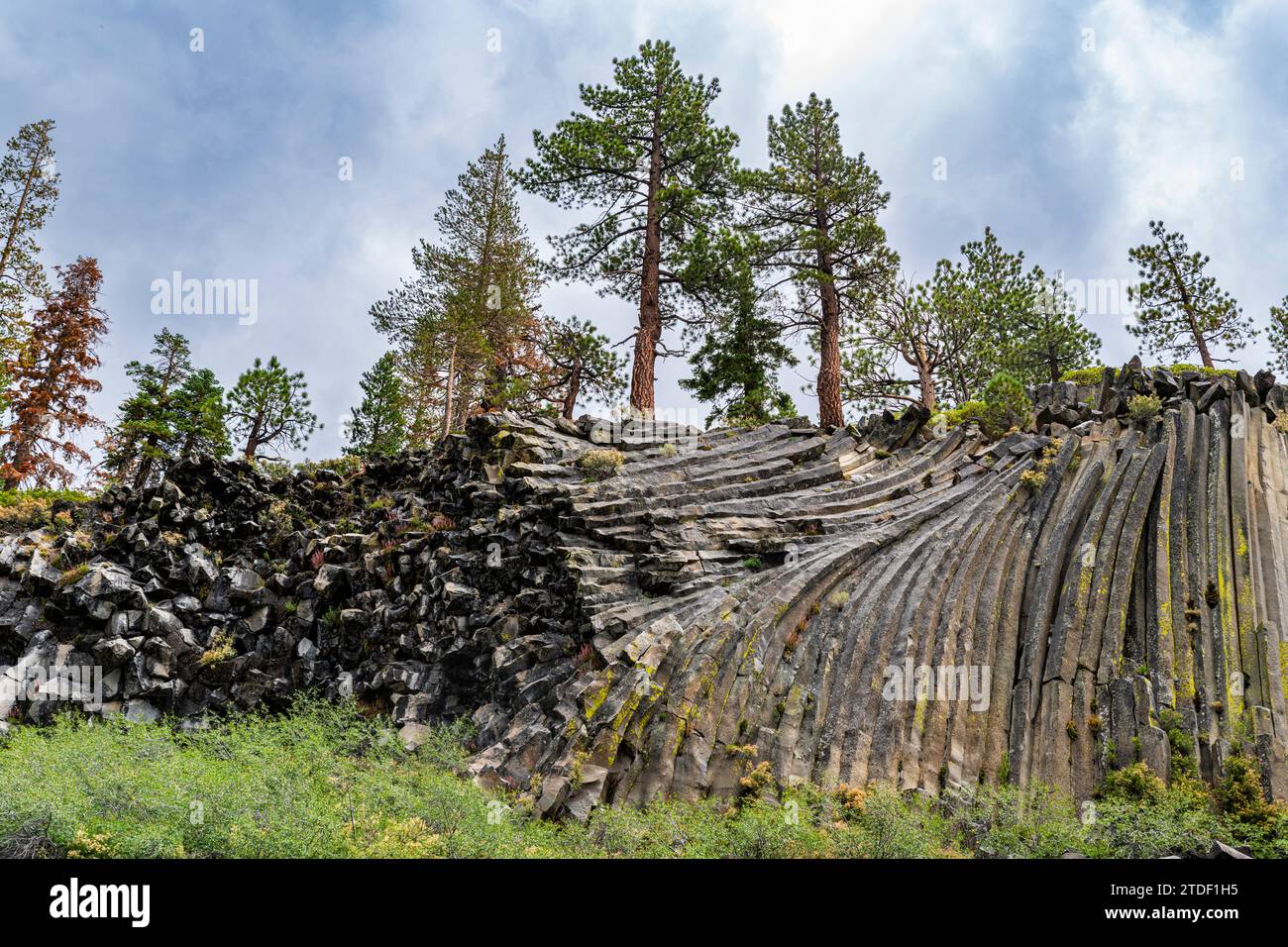 Formazione rocciosa di basalto colonnare, Devils Postpile National Monument, Mammoth Mountain, California, Stati Uniti d'America, Nord America Foto Stock