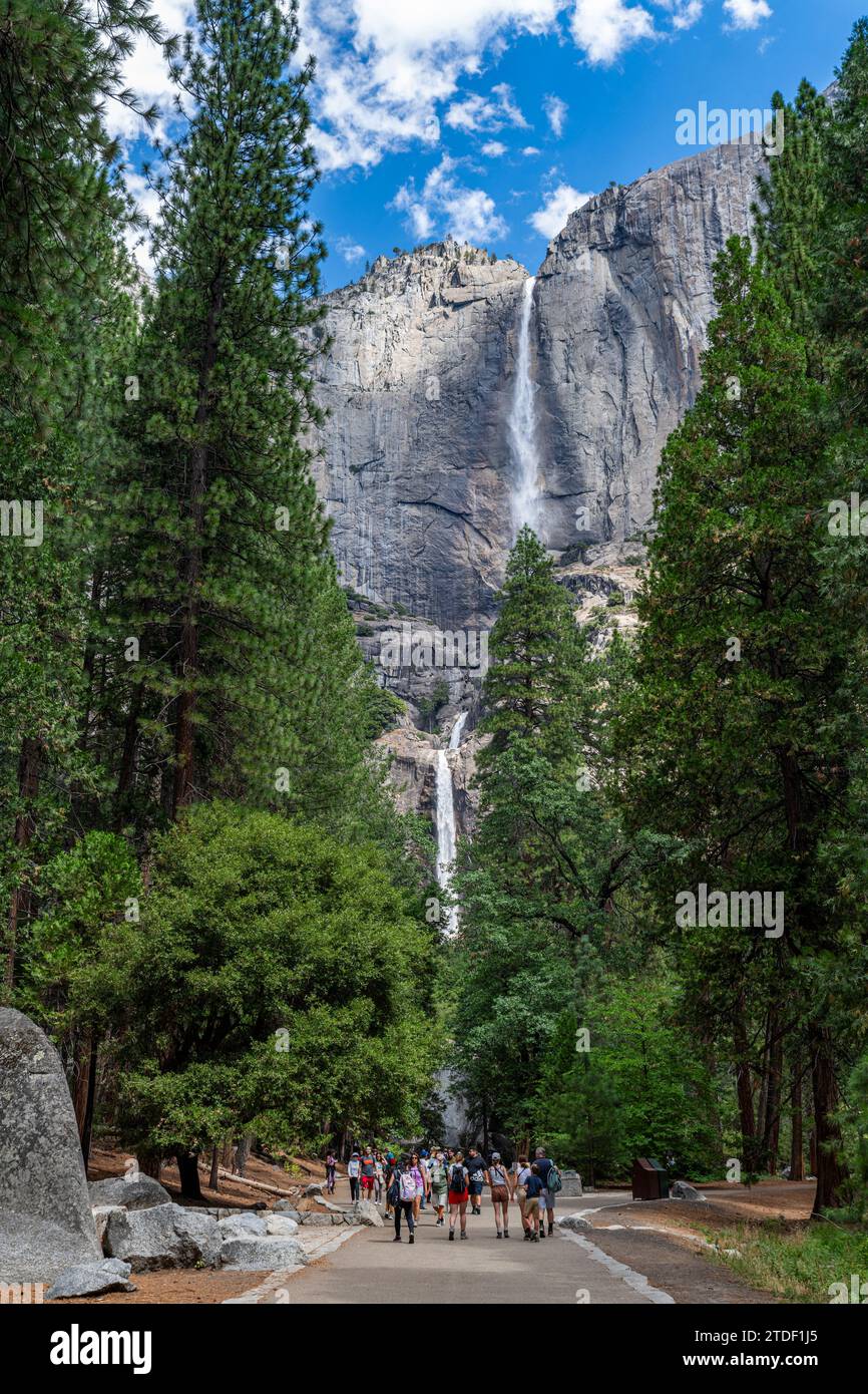 Cascate di Yosemite, cascata più alta, Parco Nazionale di Yosemite, sito patrimonio dell'umanità dell'UNESCO, California, Stati Uniti d'America, Nord America Foto Stock