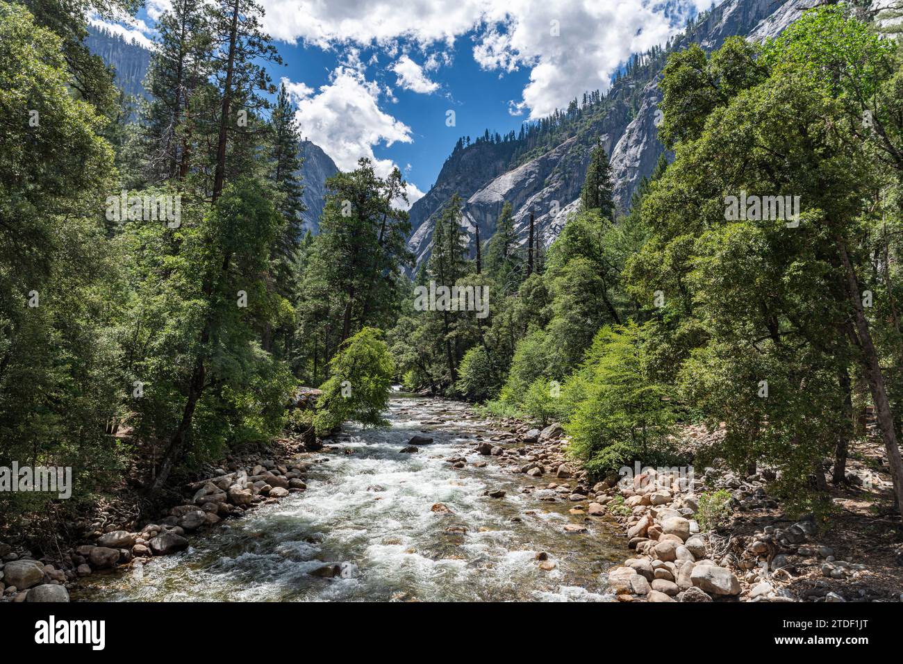 Fiume Merced, Parco Nazionale di Yosemite, sito Patrimonio dell'Umanità dell'UNESCO, California, Stati Uniti d'America, Nord America Foto Stock