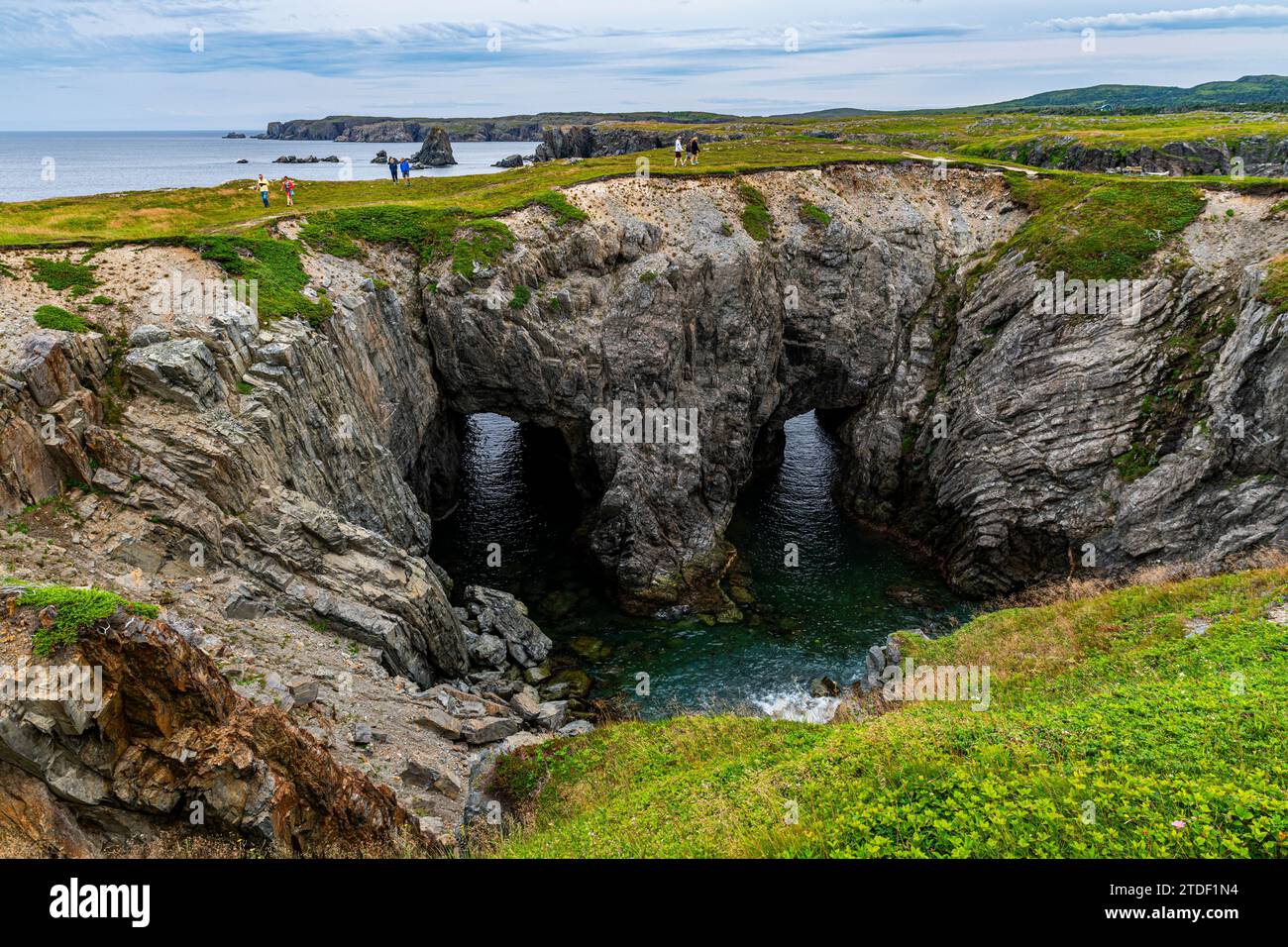 Double Arch, Dungeon Provincial Park, Bonavista Peninsula, Terranova, Canada, nord America Foto Stock