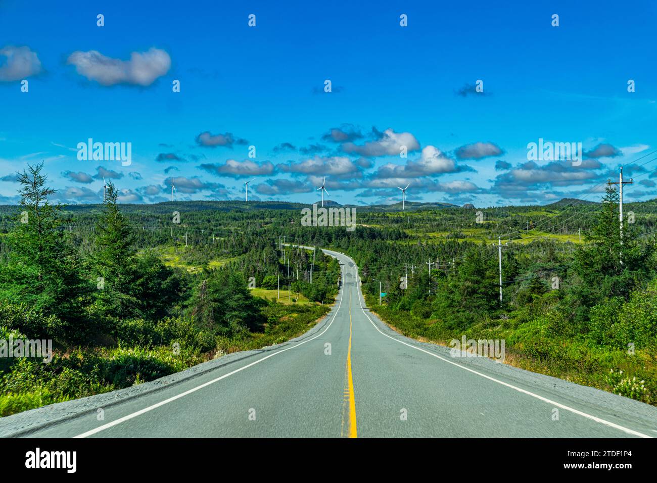 Strada che attraversa l'Avalon Wilderness, Terranova, Canada, Nord America Foto Stock