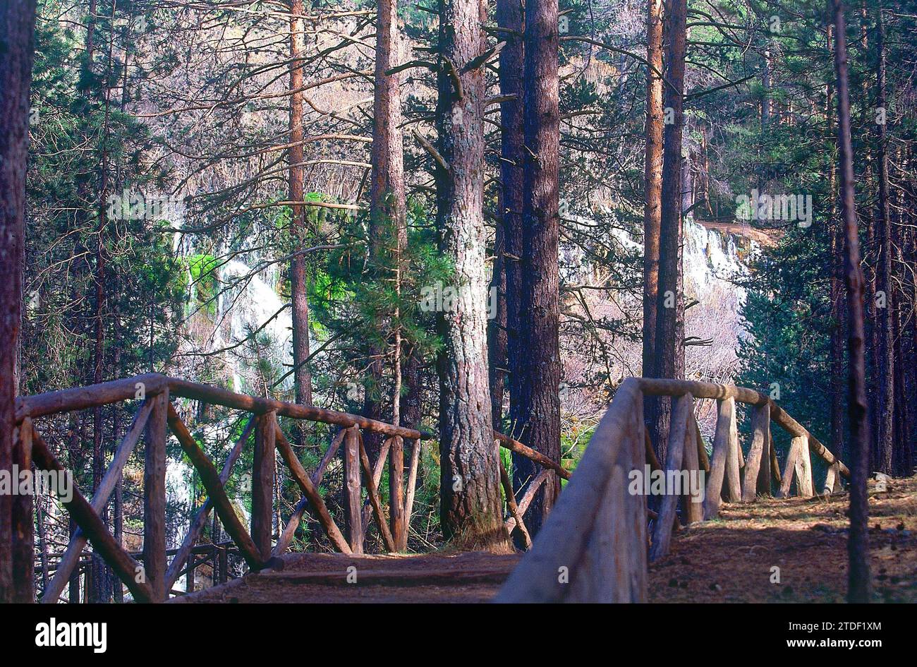 PUENTE DE MADERA EN EL NACIMIENTO DEL RIO CUERVO. UBICAZIONE: NACIMIENTO DEL RIO CUERVO. PROVINCIA. CUENCA. SPAGNA. Foto Stock