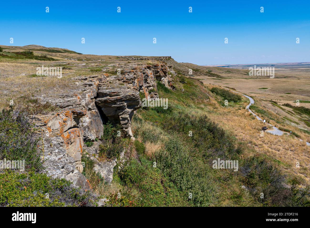 La scogliera della testa si è abbattuta a Buffalo Jump, sito patrimonio dell'umanità dell'UNESCO, Alberta, Canada, Nord America Foto Stock